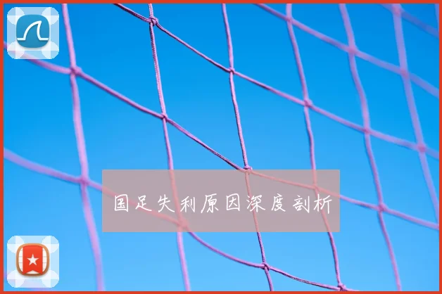 国足失利原因深度剖析