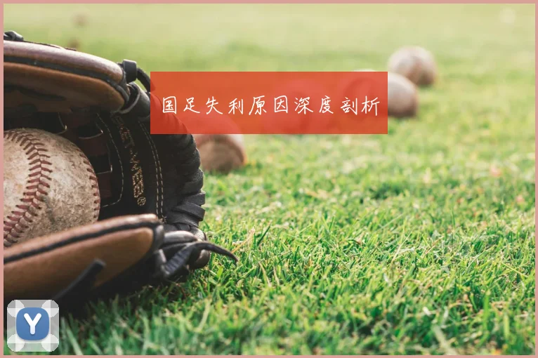 国足失利原因深度剖析